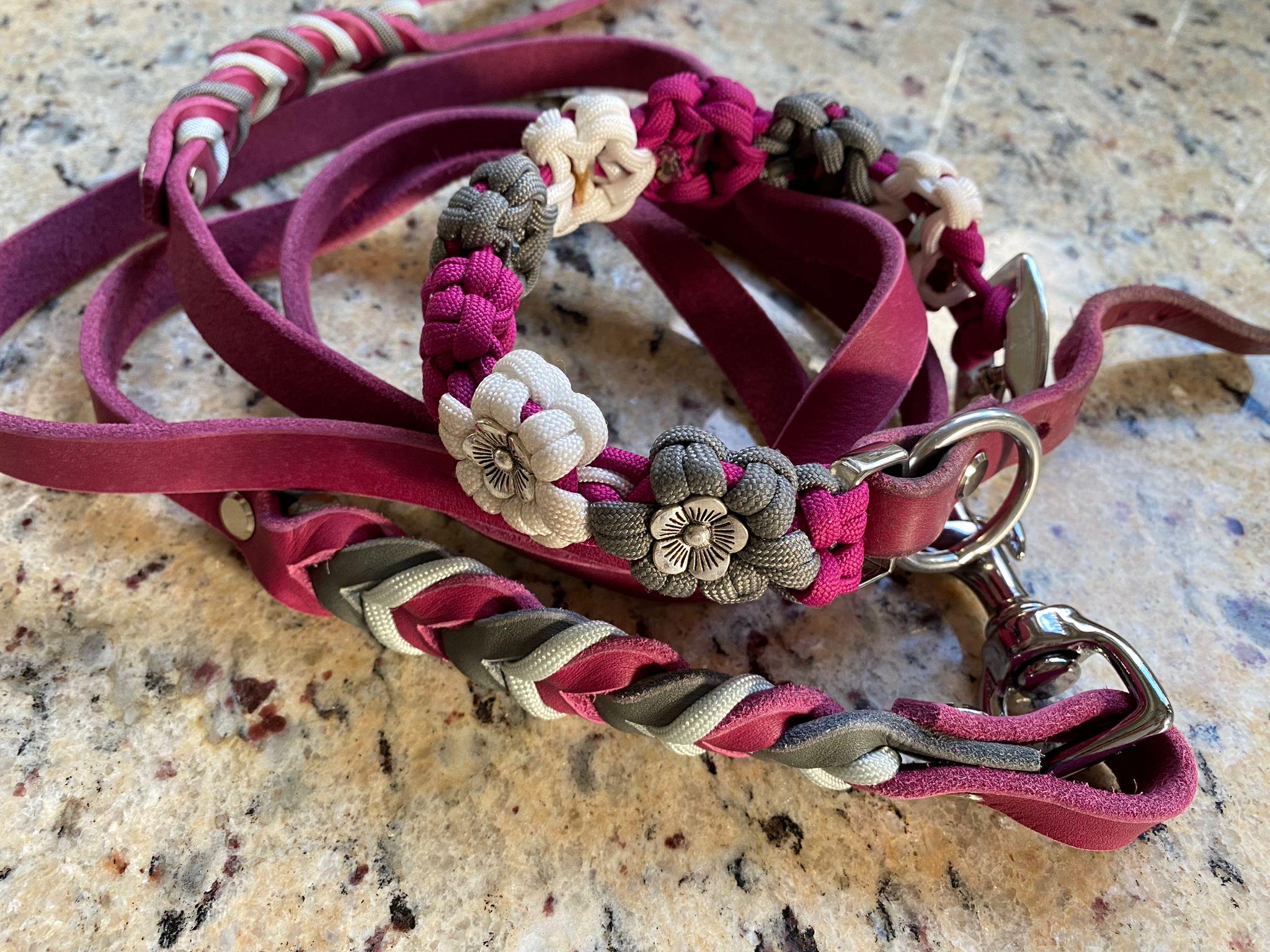 Halsband & Leine