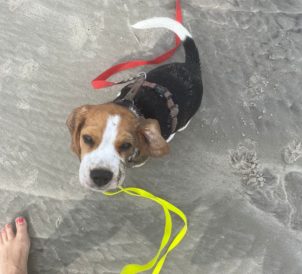 Mabel_in_SPO