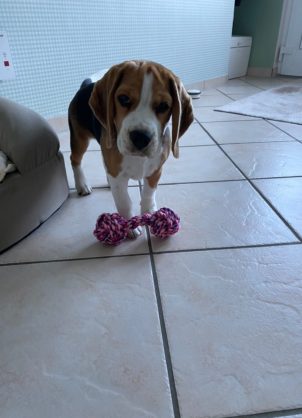 Mabel_wer_spielt_mit_mir