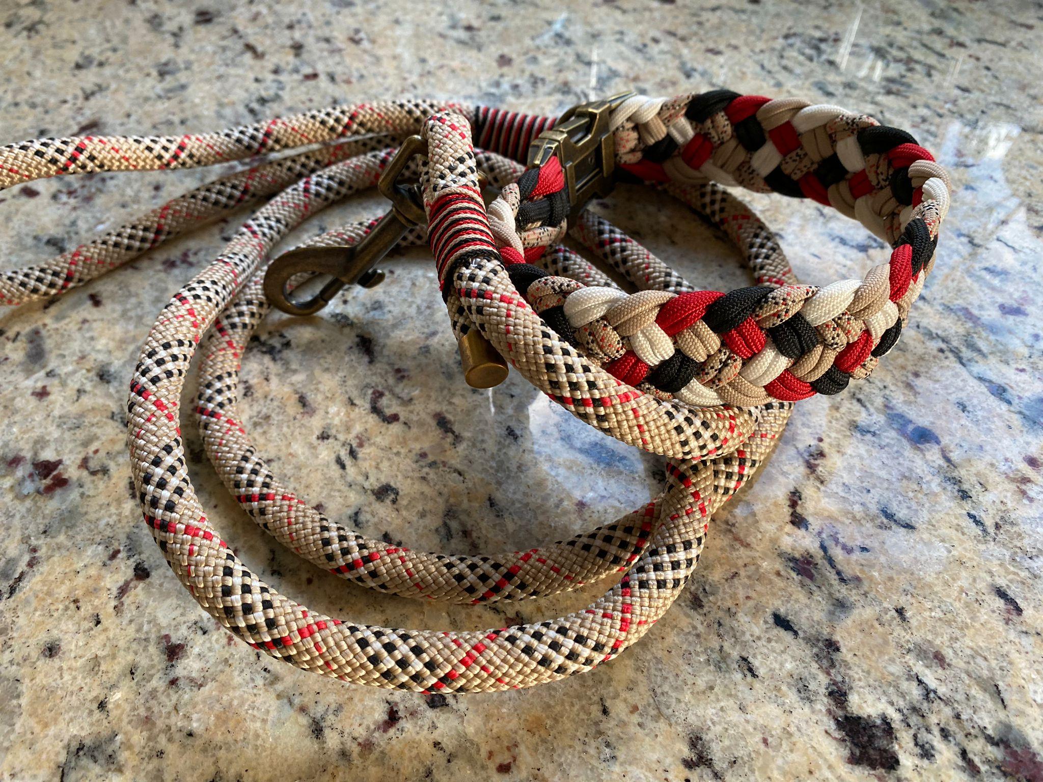 Halsband & Leine